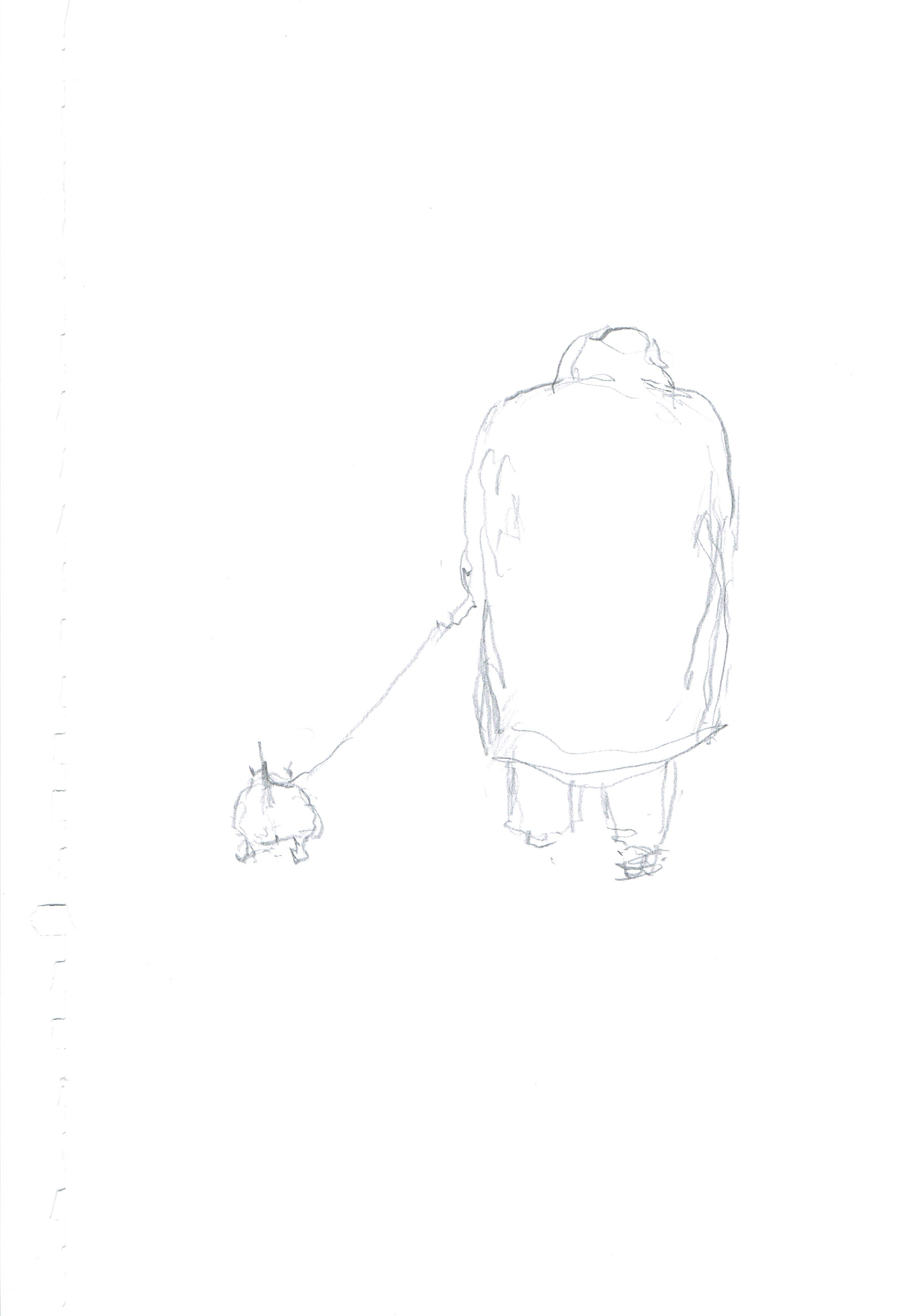 Original Pencil Drawing